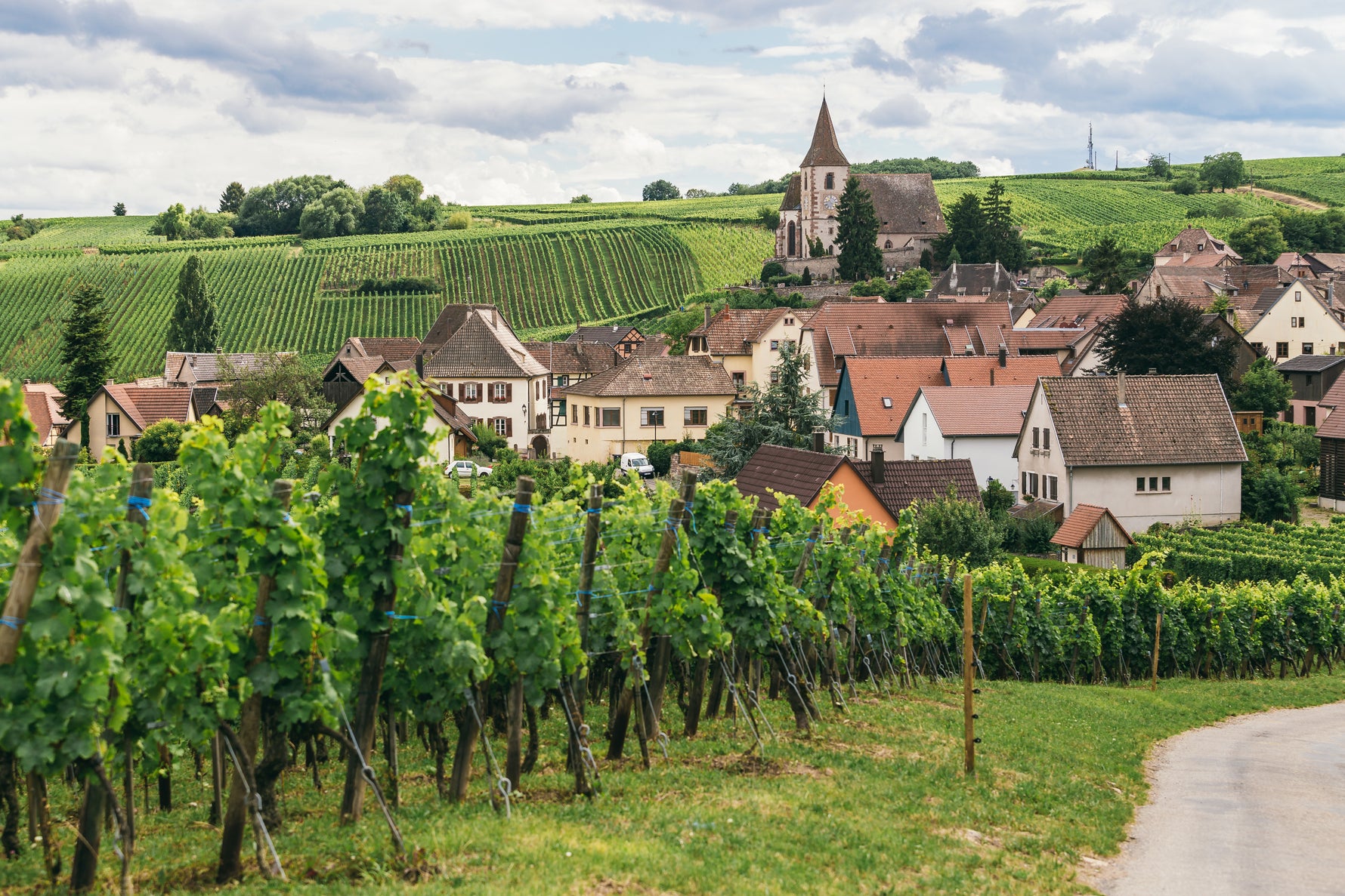 Village with houses and vineyards under a blue sky with clouds