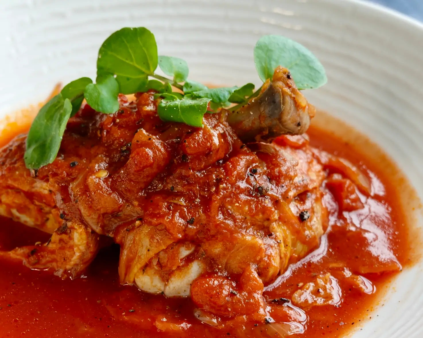 Basque Country Chicken Dish